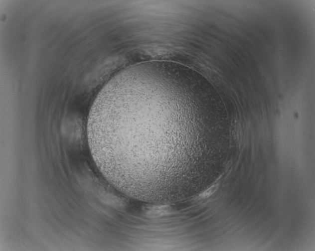 X0000055980132200509021622