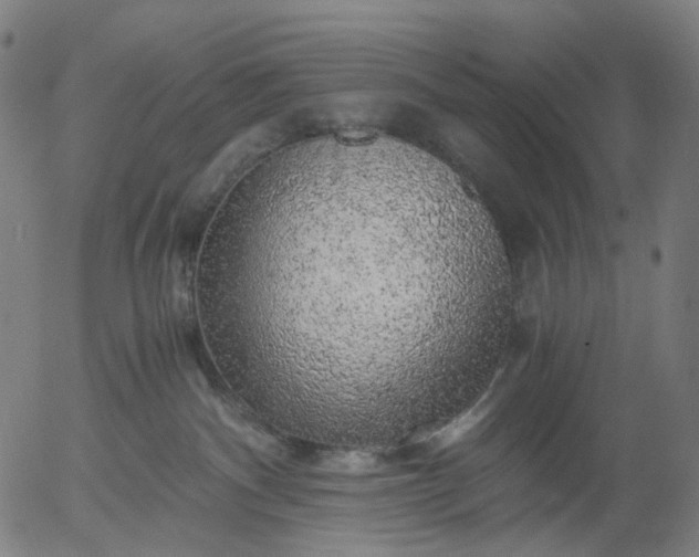 X0000055980140200509021622