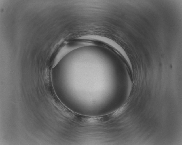 X0000055980184200509021622