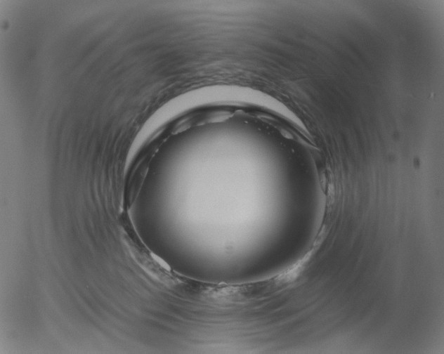 X0000055980186200509021622