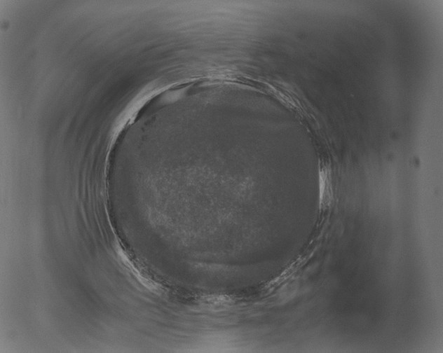 X0000055980195200509021621