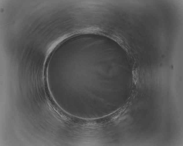 X0000055980196200509021621