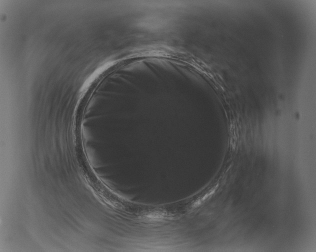 X0000055980200200509021621