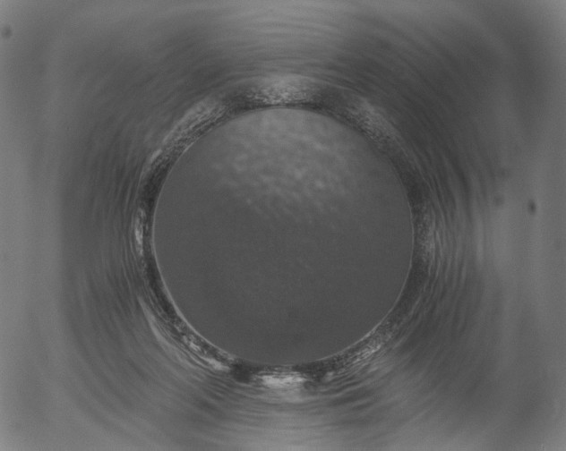 X0000055980214200509021621