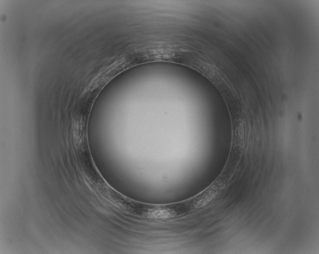 X0000055980218200509021621