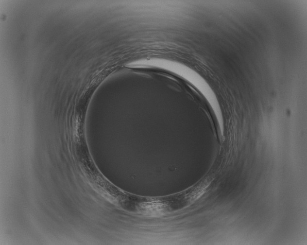 X0000055980219200509021621