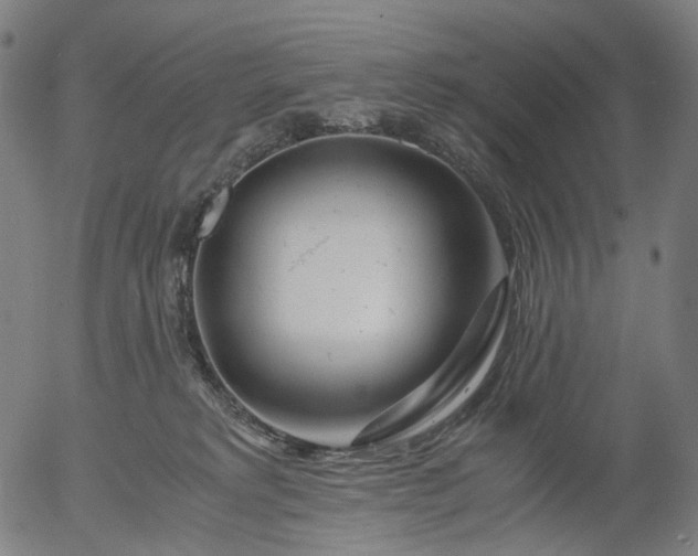 X0000055980229200509021620