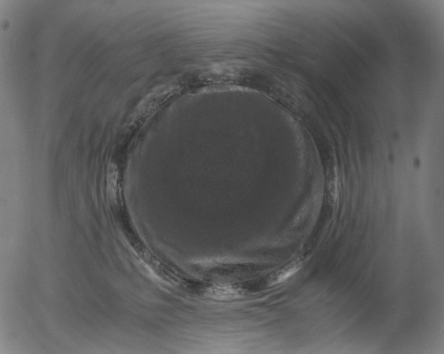 X0000055980231200509021620