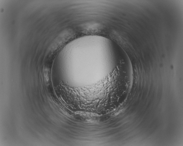 X0000055980232200509021620