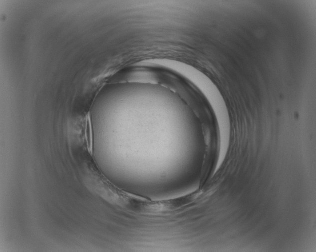 X0000055980237200509021620