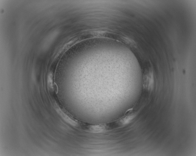 X0000055980238200509021620