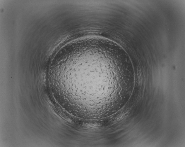 X0000055980255200509021620