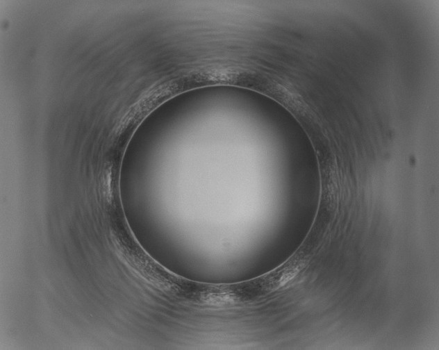 X0000055980262200509021620