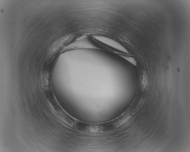X0000055980264200509021620
