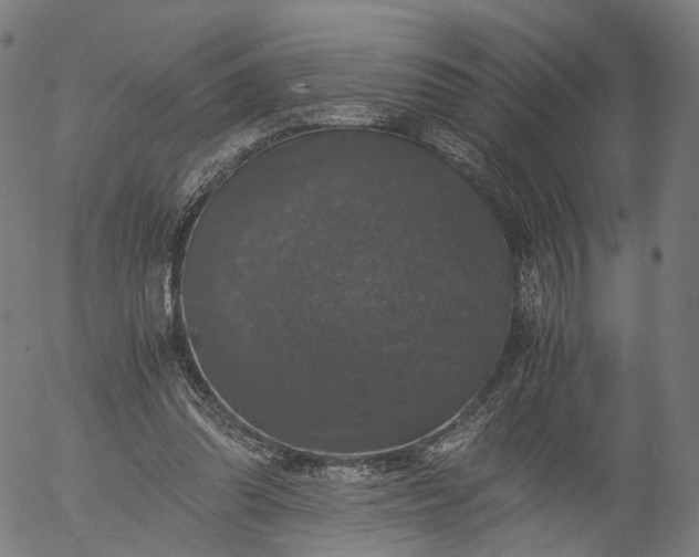 X0000055980302200509021619