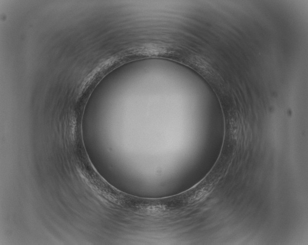 X0000055980304200509021619