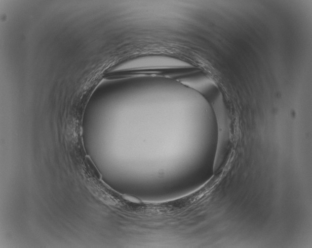 X0000055980305200509021619