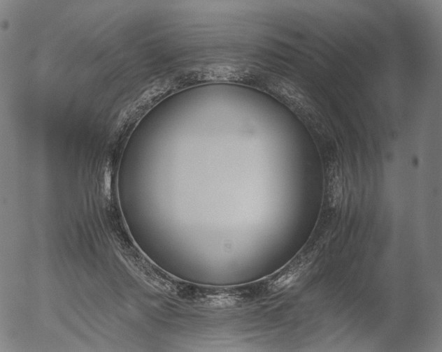 X0000055980310200509021619
