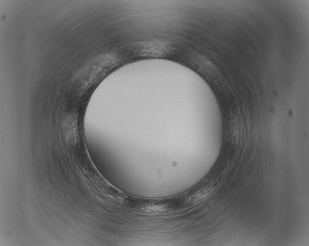X0000055980312200509021619