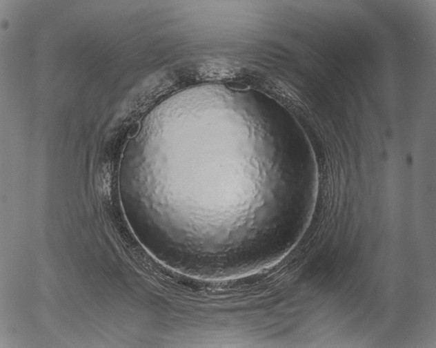 X0000055980315200509021619
