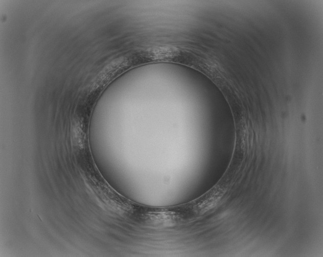 X0000055980316200509021619