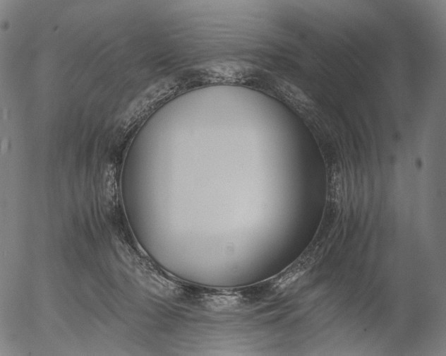 X0000055980318200509021619