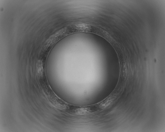 X0000055980320200509021619