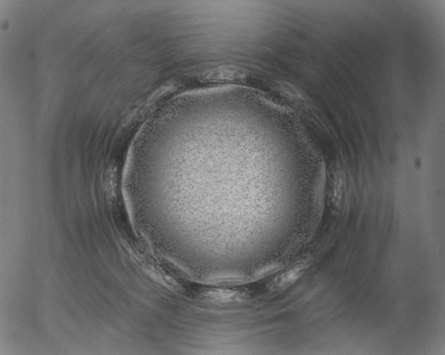 X0000055980326200509021619