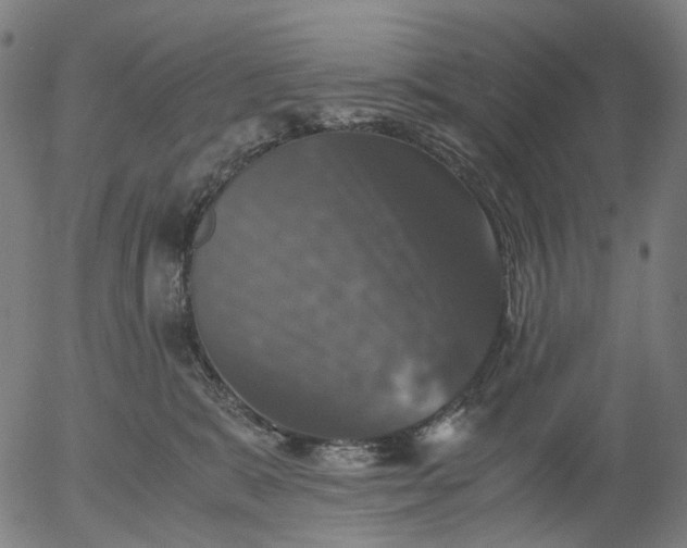 X0000055980327200509021619