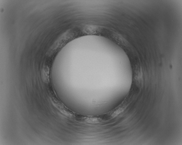 X0000055980332200509021619