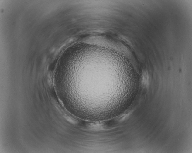 X0000055980335200509021619
