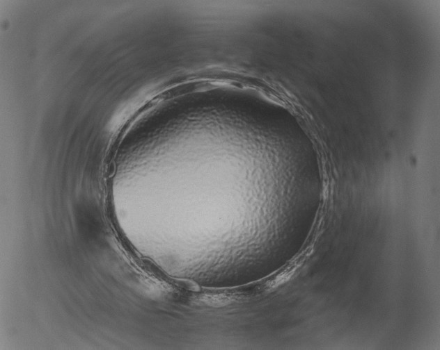 X0000055980341200509021618