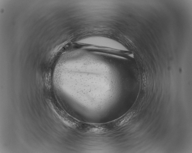 X0000055980364200509021618