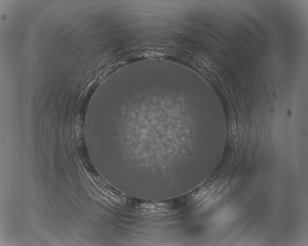 X0000055980367200509021618
