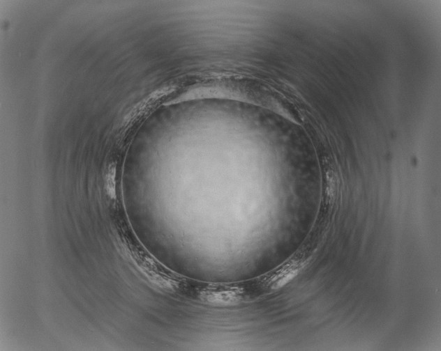 X0000055980368200509021618
