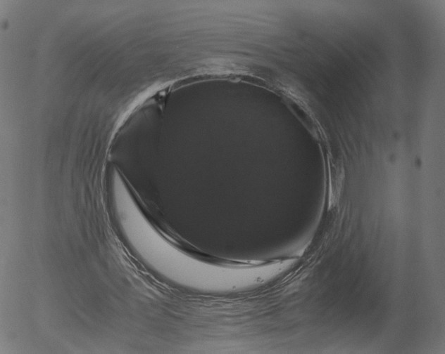X0000055980387200509021618