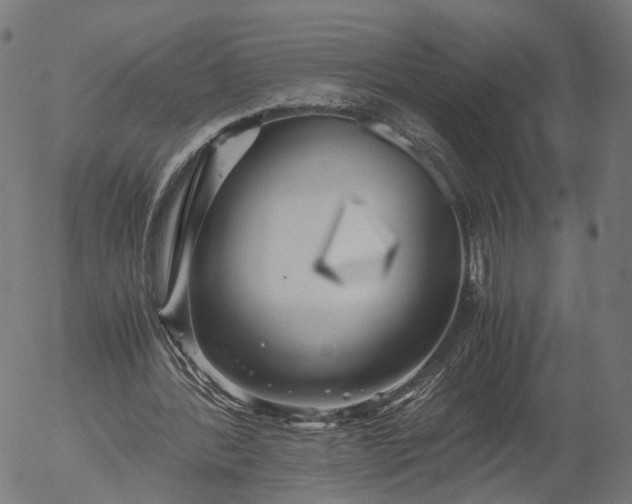 X0000055980388200509021618