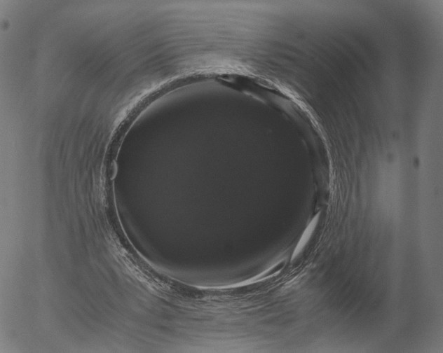 X0000055980391200509021618