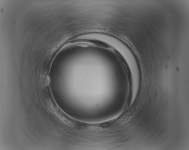 X0000055980393200509021618