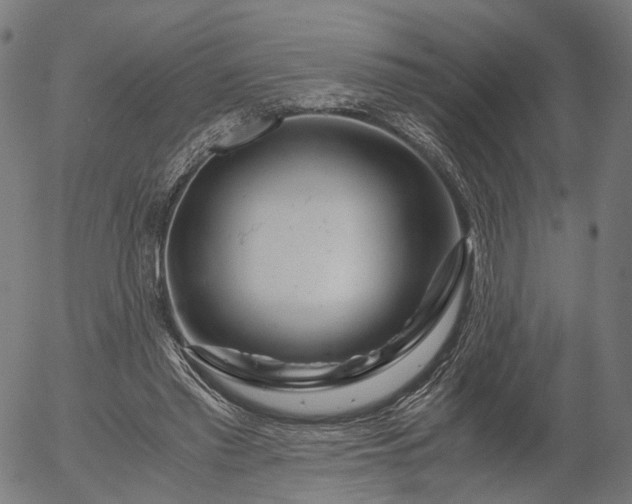X0000055980397200509021618