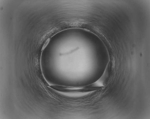 X0000055980407200509021618