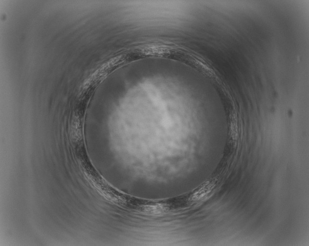 X0000055980411200509021617