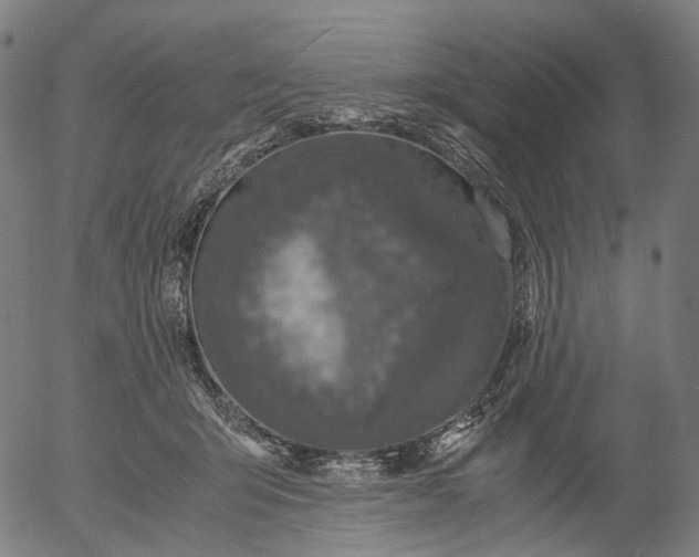 X0000055980415200509021617