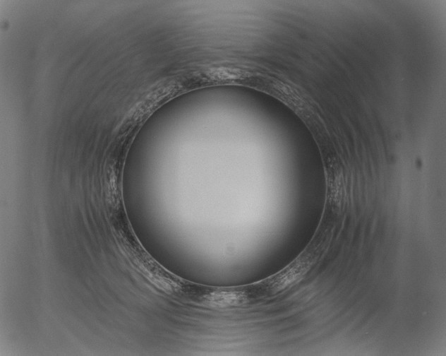 X0000055980418200509021617