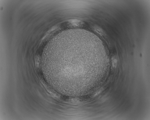 X0000055980423200509021617