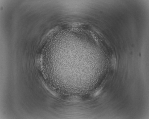 X0000055980427200509021617