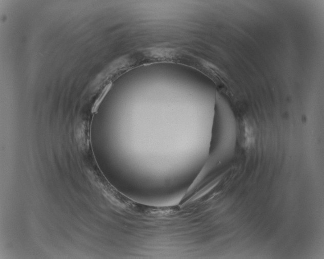 X0000055980428200509021617