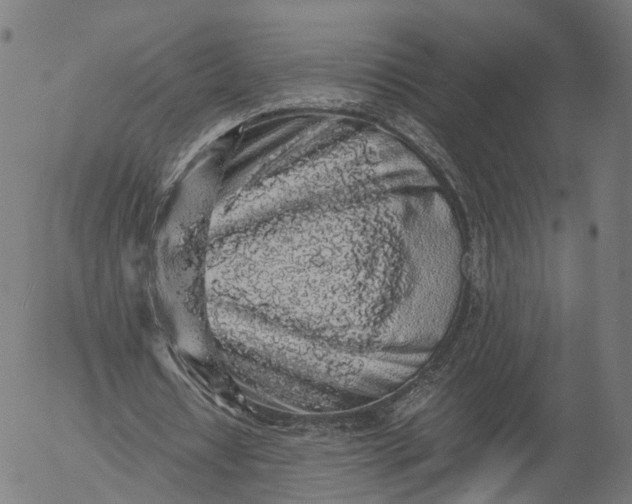 X0000055980434200509021616