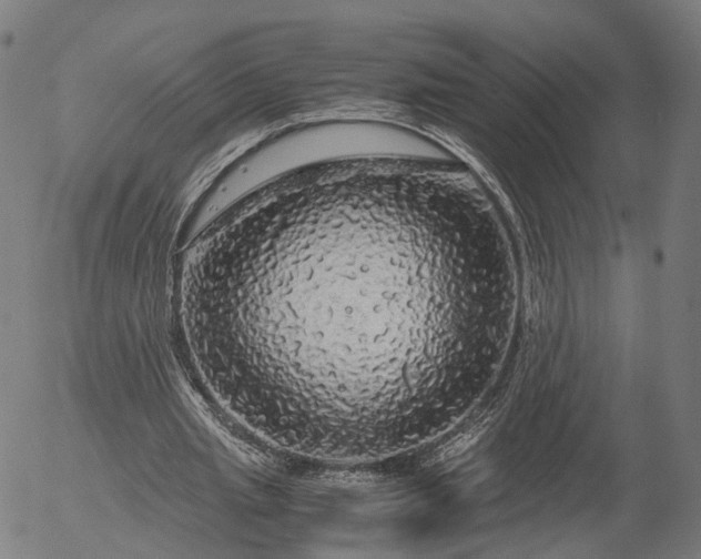 X0000055980437200509021616
