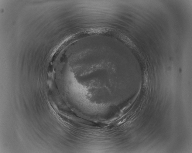 X0000055980444200509021616